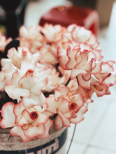 A close-up of a floral arrangement featuring large, ruffled pink and cream roses with darker pink edges on their petals, arranged in a rustic wooden container, illuminated by soft natural light. The b