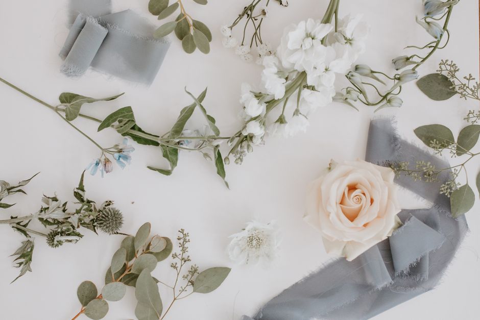 A delicate floral arrangement featuring a cream-colored rose with soft, velvety petals positioned towards the right side of the image. Surrounding it are white waxflower and sprigs of eucalyptus with 