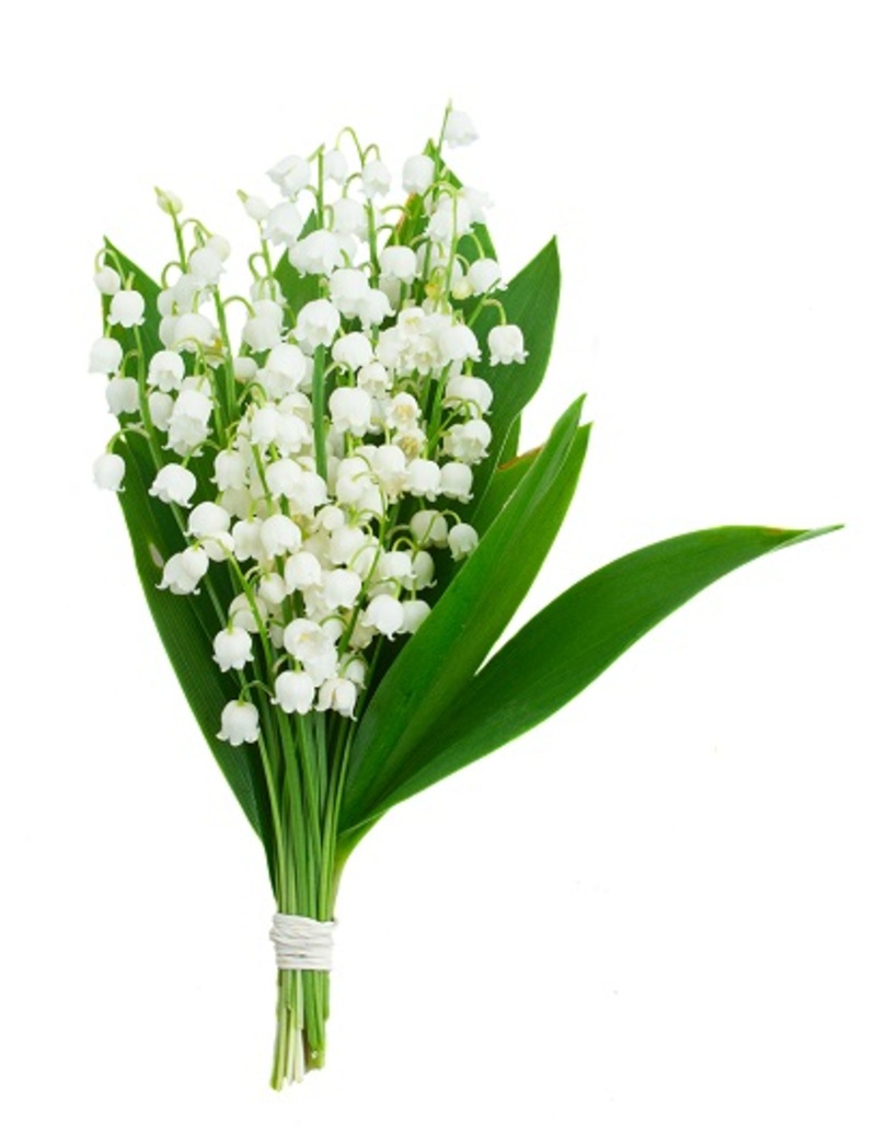 florists