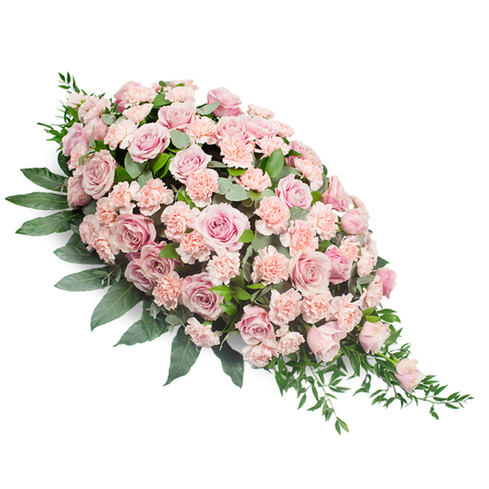 This refined funeral spray is photographed on a pure white surface, making every blush-toned flower and deep green leaf stand out with clarity. The arrangement is shaped like a classic teardrop, broad and full on the upper left where the majority of the blooms are concentrated, then gradually narrowing as it sweeps diagonally to the lower right tip. At the core, numerous soft pink roses, some in full, open bloom and others still unfurling, create drifting waves of colour across the spray. Their petals, layered and velvety, range from pale petal-pink to a slightly warmer peach-rose hue, suggesting tenderness and quiet affection. Interwoven throughout are clusters of light peach-pink carnations whose frilled petals add texture and volume, ensuring there are no gaps, only a continuous flow of blossoms. Encircling this floral mass is a generous halo of deep, glossy greenery that frames the spray and anchors it visually, while more delicate, elongated leaves and fine fronds extend beyond the blooms, like soft brushstrokes that keep the composition from feeling rigid. The overall mood is peaceful and contemplative, ideal for a funeral or memorial service in Cranford, whether resting atop a casket or set beside a photograph of the departed. The carefully balanced colours and neat craftsmanship reflect the kind of thoughtful tribute a local family might choose when gathering near Cranford Park, seeking a floral expression of love, gratitude, and farewell that feels both personal and dignified.
