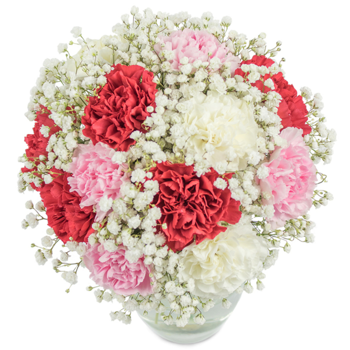 This artfully composed bouquet, as seen against a luminous white backdrop, showcases the proud tradition of Cranford's florists. At its heart are lush, large-headed carnations in a harmonious gradient-deep, passionate reds merging with blush pinks and sumptuous creams. The carnation petals, exquisitely ruffled and abundant, form a sphere of opulence that feels at once timeless and fresh, as if plucked from the storied gardens along Bath Road. Intertwined throughout are innumerable sprigs of baby's breath, their tiny, fitful white blossoms fostering an impression of gentle mist, lightening the composition and offering a dreamy contrast to the saturated hues of the carnations. The entire bouquet is arranged in a clear, rounded vase, its contents visible through the pristine glass so the green stems and glinting water add another layer of calm, organic grace. Shot from above, the even light reveals every subtle shade and delicate curve of petal, celebrating both colour and texture. This uplifting arrangement represents more than just flowers; it captures the heartfelt warmth and understated luxury of Cranford, perfect for birthdays, anniversaries, or as a thoughtful gesture of gratitude. With its abundance and elegant form, this bouquet calls to mind the joyful gatherings and tradition-rich celebrations long enjoyed by the local community.