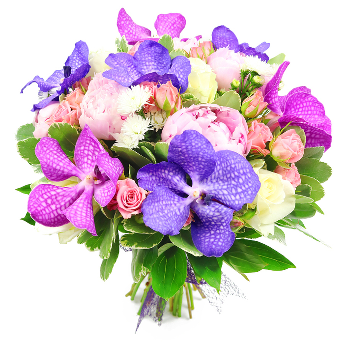 A richly detailed bouquet is presented against a clean, brilliant white background, photographed from above so that every flower can be admired, as though it were resting on a worktable in a Cranford florist's studio. The composition is dense and opulent, anchored by several generous pink peonies, each one fully opened to reveal layer upon layer of ruffled petals that create a plush, almost cushion-like texture. Intertwined among the peonies are exotic Vanda orchids in vivid shades of indigo purple and fuchsia, their broad petals marked with intricate speckled patterns and fine veining that draw the eye immediately. Around these statement blooms, smaller spray roses cluster in soft pink and warm peach, accompanied by a few creamy white roses that add a quiet elegance and subtle contrast. Some of these roses are still in tight bud form, promising future blossoms, while others are half open, contributing movement and depth. Tucked throughout the bouquet are tiny white filler flowers, similar to feathery chrysanthemums or asters, which add delicate, spiky textures and bursts of light between the more substantial blooms. The entire arrangement is encircled and supported by lush green foliage: broad, glossy leaves give structure at the base, while smaller leaves weave up through the bouquet, enhancing its freshness and garden-picked charm, like something that might have been gathered from well-tended gardens around Cranford or near the River Crane. The stems at the base are cleanly cut, neatly bound and finished with a subtle purple ribbon and a touch of sheer mesh, showing the practiced hands of an experienced local florist. The harmonious palette of purples, pinks, peaches, whites and deep greens conveys a mood of celebration and refined taste, ideal for weddings, anniversaries or elegant gatherings in and around Cranford.