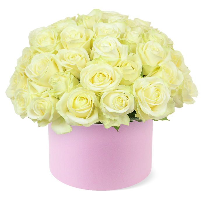 A round pastel pink hat box overflows with dozens of carefully arranged roses, creating a sumptuous, domed bouquet that seems to rise like a small floral hill from its container. The roses are predominantly creamy white and pale ivory, their petals layered in tight, velvety whorls, with some blooms revealing a gentle blush of soft yellow near the centre that hints at their freshness and vitality. Each flower appears meticulously placed, their heads touching so closely that they form an almost seamless surface of petals, broken only by the occasional glimpse of deep green foliage tucked low beneath the blossoms. This restrained use of greenery heightens the sense of fullness and luxury, making the roses themselves the unquestionable focus of the design. The hat box has a smooth, matte finish, its light pink shade harmonising beautifully with the pale tones of the roses while still offering a subtle contrast that feels modern and chic. It evokes the feeling of an elegant gift box you might see carried along Cranford's high street or set on a restaurant table for a romantic anniversary dinner. The arrangement is photographed against a bright white background that eliminates distractions, so every curve of each petal and every nuance of colour is clearly defined. The lighting is gentle and even, casting soft shadows that give the bouquet depth without harshness. Overall, the image conveys a mood of tenderness, celebration, and refined style, making it easy to imagine this hat box of roses arriving as a same-day flower delivery for an anniversary, a special birthday, or simply to say I love you in a particularly graceful Cranford way.