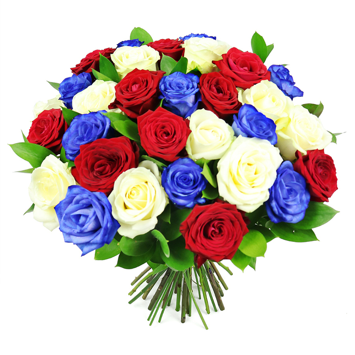 A richly coloured, hand-crafted bouquet of red, white, and blue roses commands the centre of the image, its rounded shape forming a generous, almost globe-like cluster of blooms. The roses are packed closely together so that very little stem or space is visible between the blossoms, creating a feeling of abundance and care that would suit a special occasion anywhere in Cranford. Each flower shows off its full, velvety petals, some tightly furled in elegant spirals, others just beginning to unfurl, adding subtle variation and movement across the surface of the dome. The red roses glow with a classic, romantic crimson, the white roses appear creamy and luminous, and the blue roses are a deep royal shade, bordering on cobalt, lending an unexpectedly modern twist to this timeless flower. The colours are thoughtfully interspersed in a balanced pattern, suggesting the deliberate eye of an experienced florist who knows how to let each hue stand alone while contributing to the whole. Small clusters of dark, glossy green leaves peek out between roses, adding depth and giving the bouquet a fresh-from-the-market feel, as if gathered that morning from a supplier not far from Cranford. At the base, a tight bundle of straight, neatly cut stems fans out slightly, the greens and light browns indicating a careful hand-tied technique and readiness for a vase or ceremonial display. The bright white background amplifies the vivid palette and crisp outlines of each bloom, making the bouquet particularly suitable as a visual for national celebrations, remembrance gatherings, or community events in and around Cranford, where themes of unity, gratitude, and shared pride are important.