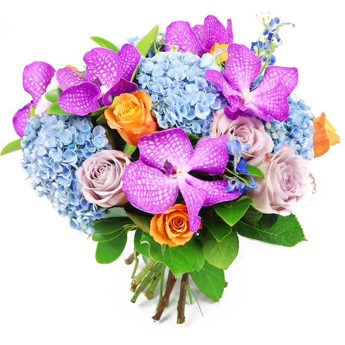 A richly detailed hand-tied bouquet is captured in crisp light against a clean white backdrop, highlighting its sophisticated mix of flowers and colours. Several striking Vanda orchids, in deep magenta and vibrant fuchsia, are the stars of the arrangement; their petals are wide and almost leathery, intricately patterned with fine white veining that creates a netted, checkerboard effect. They are positioned carefully around the bouquet, giving it a sense of drama and refined opulence, like something chosen for a special celebration in a Cranford home overlooking the River Crane. Filling out the core of the design, generous clusters of powder-blue hydrangeas create a soft, voluminous base. Each hydrangea head is made of numerous, closely packed florets, lending a plush, cloudlike texture that contrasts beautifully with the sleek surface of the orchids. Interwoven among these are elegant roses in two main tones: cheerful orange roses, just beginning to open, bring a sunlit burst of colour and joy; alongside them, muted lavender and mauve roses add a cool, romantic depth, reminiscent of evening light settling over Cranford Park. Delicate stems of darker blue accent flowers, similar to slim delphiniums, peek out from between the main blooms, adding height, structure, and a deeper indigo note. Encircling the flowers, broad, glossy green foliage provides a lush, natural frame that enhances the brightness of the central colours. The bouquet is shaped into a rounded, domed profile, with the neatly cut stems gathered tightly at the base and clearly visible, suggesting fresh, professional floristry. This arrangement feels both celebratory and composed, ideal for use as an elegant table arrangement, a luxury gift for local delivery around Cranford, or a standout bouquet for photoshoots and special events.