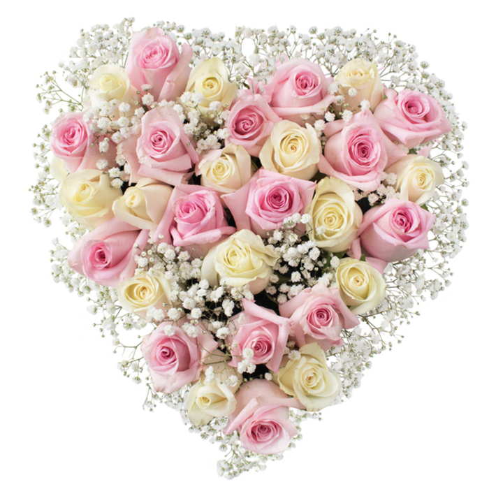 At first glance, this elegant heart-shaped arrangement stands as a testament to a Cranford florist's dedication and artistry. The heart is filled with approximately three dozen roses, elegantly alternating between pastel blush pink and warm, creamy white, some with a hint of pale yellow at their centers. Each rose is in gentle bloom, petals arranged in soft, swirling layers that beckon touch, their velvety texture capturing the light. Intermixed among the roses are countless sprays of baby's breath-tiny, white, star-shaped blossoms that create a dreamy, cloud-like texture, enveloping the arrangement in a halo of softness. The composition is set against a pure, uncluttered white background, which enhances the bouquet's delicate hues and the fullness of its symmetric heart shape. This striking design beautifully balances romance and dignity, making it a meaningful tribute for both remembrance and heartfelt celebration. Evoking the quiet charm of Cranford's local streets and the care found in its community, the bouquet offers a serene visual statement, ideal for funerals, anniversaries, or gestures of enduring affection. Its harmonious blend of color and texture, illuminated in balanced daylight, creates an atmosphere of calm, making it a comforting presence at moments of reflection or commemoration in Cranford and surrounding neighbourhoods.