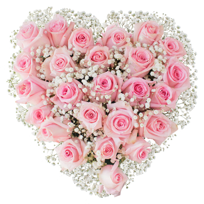 A meticulously formed heart of pastel roses that presents itself like a love letter written in blooms: the arrangement is composed of two to three dozen fresh, soft pink roses, packed tightly so their round, velvety heads create a continuous, tactile surface. Shades move gently from whisper-pink at the petal edges to a steadier rose shade toward each blossom's centre, and the roses sit alongside a generous scattering of tiny white gypsophila-baby's breath-that offsets the pink with pinpricks of pure white and lends an ethereal, floating texture to the silhouette. Under crisp, even lighting against a white background, the petals' delicate veining and the subtle variance of bloom stages-buds, half-open cups, and fuller blooms-are clearly visible, offering depth and a living quality to the heart shape. The scent you might imagine is faint and floral, the comforting sweetness of garden roses rather than heady perfume, suited to tender occasions: engagements, anniversaries, or a refined Valentine's statement. As a local image, picture this bouquet being chosen for delivery to a home near Cranford Park or carried into a small reception on Bath Road; it speaks of neighbourhood care and thoughtful presentation. The craftsmanship is evident in the symmetry and restraint of the design, an elegant emblem of quiet devotion and classical romance that reads as both heartfelt and timeless.