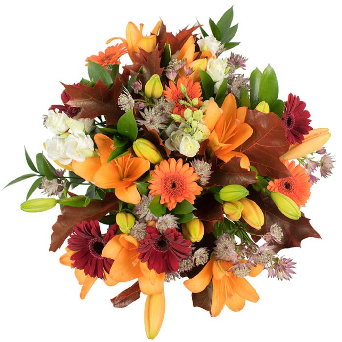 A slightly elevated, richly textured image of an autumn bouquet that reads as a small harvest festival gathered into a single arrangement-perfect for mantelpieces, community feasts, or a heartfelt seasonal gift around Cranford. Dominating the view are several large orange Asiatic lilies, their broad, trumpet-shaped petals opened wide and catching the light, radiating a fresh, luminous orange. Interspersed among them are bright orange Gerbera daisies alongside deep burgundy Gerberas, each with that classic dark center that grounds the composition with rustic charm. Creamy-white Lisianthus blooms and buds soften the palette; their layered, ruffled petals resemble tiny nests of silk and provide calming highlights against richer hues. Delicate, star-like Astrantia in muted purple and lavender weave through the bouquet, adding filigree texture and a sense of delicate motion. Many lily buds-tight, pale green and blush orange-are visible, hinting at the bouquet's life and longevity. Large, lobed leaves in warm reddish-brown and chestnut tones are strategically layered to echo the turning leaves you might find underfoot in nearby Hounslow Heath, while verdant green foliage and slender stems anchor the arrangement structurally. The bouquet's dense, rounded silhouette is brightly lit on a white background, which intensifies the seasonal colours and showcases the florist's careful placement of contrasts, textures, and negative space. This piece conveys warmth, conviviality, and the abundance of autumn-an ideal pick for Thanksgiving centrepieces, autumn weddings, or as a thoughtful seasonal gesture delivered across Cranford and neighbouring communities.