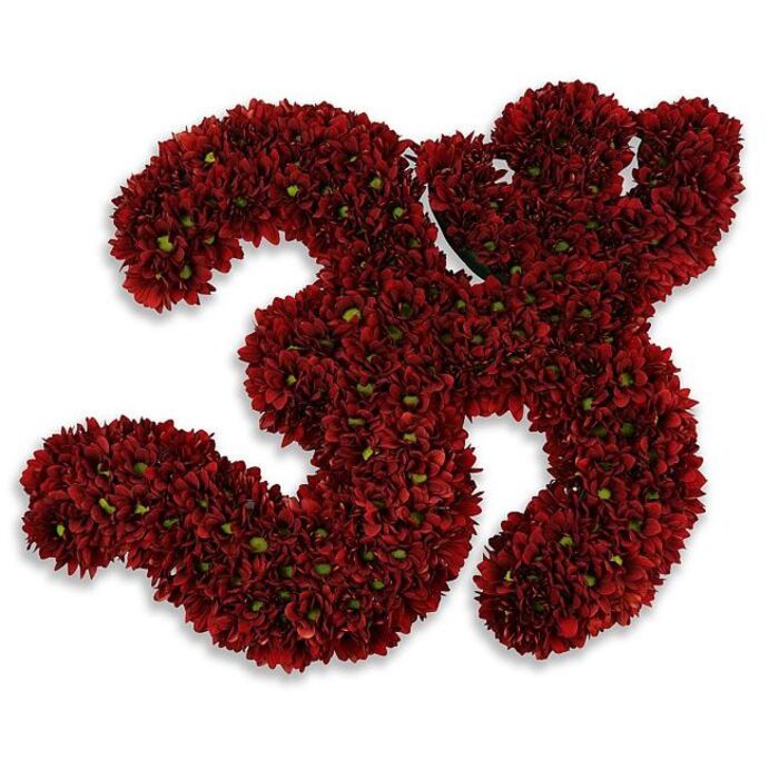 A bold, meticulously formed floral number '33' composed of hundreds of tiny button chrysanthemums in a deep burgundy or crimson, presented against a clean white studio background. Every individual bloom is closely massed so the two numerals become a single, plush object with a velvety surface; the flowers' layers of narrow petals create a dense, tactile field broken only by the occasional bright green eye of a flower or the glint of a small leaf tucked between blossoms. The overall tone is rich and celebratory, yet restrained-suitable for marking a 33rd birthday, an anniversary, a team jersey tribute, or a dignified memorial. Soft, even lighting highlights the subtle variations in red-some petals edge toward maroon, others toward true crimson-while a gentle gray shadow beneath suggests the piece is slightly raised, lending a sculptural presence on the white plane. As a florist working in Cranford, I picture this arrangement balanced on a table near Cranford Park or offered for delivery to a local civic event on Bath Road; it carries the intimacy of hand-placed blooms and the impact of a statement piece. The workmanship is evident in the compacting of stems and the careful shaping of curves so both '3's mirror each other with graceful proportion. There's a faint, comforting chrysanthemum scent imagined close-up, and the tactile invitation of pressing a thumb to the outer petals-soft, layered, and substantial. Crafted here at Cranford Flowers, this floral numeral reads as both a visual celebration and a considered tribute, designed to resonate with neighbours across Hatton Cross, Longford, and Hounslow as quietly festive or respectfully significant depending on the occasion.