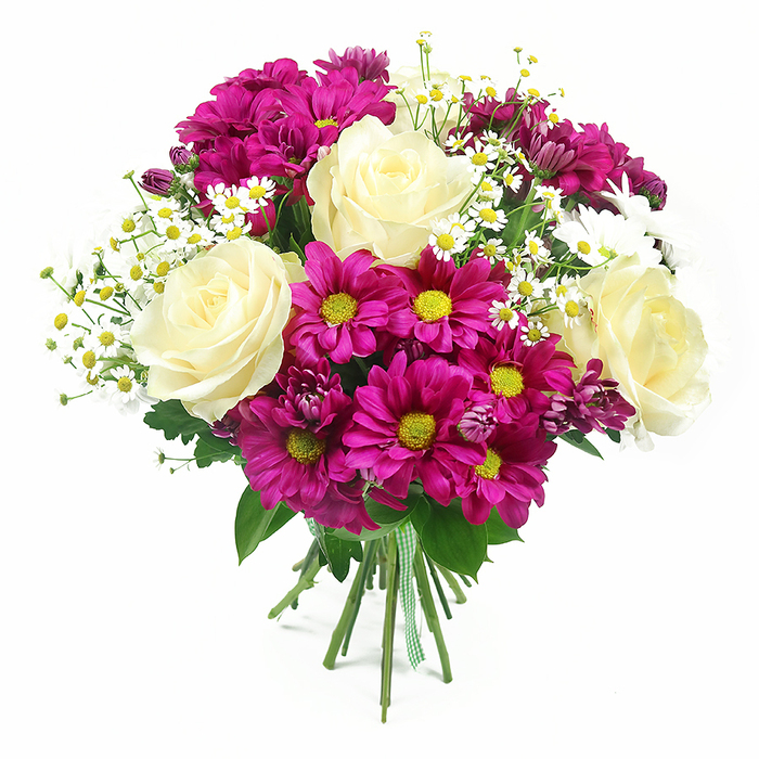 Set against a bright, uncluttered white background, a lush mixed bouquet is captured in a way that highlights every detail a local Cranford florist would be proud of. The arrangement is rounded and full, dominated by four creamy white roses whose petals unfurl in perfect spirals, each bloom revealing a hint of buttery yellow at its centre. These roses feel like the calm, elegant core of the design. Encircling them are numerous fuchsia-magenta chrysanthemums, often called mums, whose petals radiate around vibrant yellow to yellow-green centres, giving the bouquet a playful yet polished look. Interwoven among the larger blooms are soft sprays of small white daisy-like flowers, likely feverfew or chamomile, each tiny bloom with a golden centre that lends a delicate, airy texture, reminiscent of wildflowers growing near Cranford Park or along residential gardens. Pockets of deeper purple-pink chrysanthemum buds peek through from the inner layers, hinting at blossoms still to open and adding dimension and a sense of depth. The flowers are cradled by an abundance of mid- and dark-green foliage, including classic rose leaves and textured chrysanthemum greenery, which frames the brighter tones and makes them appear even more vivid. At the base, the neatly gathered stems are secured with a green and white gingham ribbon, tied snugly but simply, suggesting a bouquet that has just been finished and is ready to be sent out on local Cranford deliveries. Soft, even studio lighting picks up the gentle sheen on the rose petals and the crisp edges of the mums, creating subtle shadows that show off the fullness and freshness of the design. The result is a bouquet that conveys happiness, gratitude, and a touch of rustic charm while still feeling refined enough for birthdays, anniversaries, or thoughtful everyday gifts.