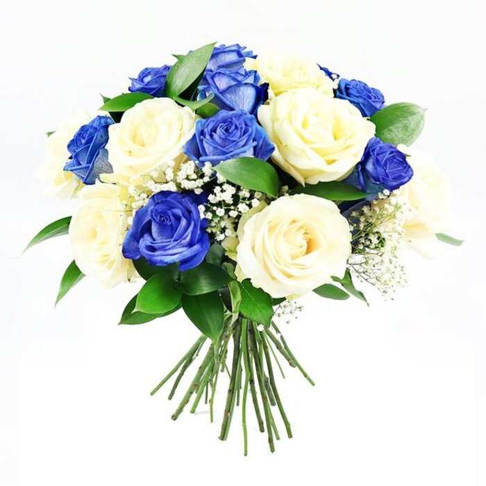 A lush, hand-tied bouquet of roses in deep blue and soft cream tones is presented against a crisp white background, the entire arrangement arranged in a tight, rounded dome that feels both modern and timeless. Around a dozen rich sapphire blue roses are evenly blended with an equal number of pale cream blooms, so the colours alternate gracefully rather than forming blocks. The blue roses are intensely pigmented, with velvety petals that fold over one another, creating dark, shadowed centers reminiscent of a dusky evening over Cranford's quiet streets. By contrast, the cream roses appear luminous, their outer petals nearly white, gently cupping the more buttery-toned interiors in a soft spiral. Between the larger blooms, airy sprays of white Gypsophila punctuate the bouquet, like tiny stars scattered through the roses, giving it a light, ethereal quality perfect for somber yet hopeful moments of remembrance. Encircling the flowers, stems of dark green foliage, likely Ruscus or a similar leaf, add structure and a natural frame; the leaves emerge just beyond the petals, hinting at a freshly gathered garden bundle rather than something overly formal. Below the floral dome, the green stems are left visible and neatly bound, ready to drop into a favourite vase in a Cranford home or be laid gently at a memorial. The lighting is bright and neutral, casting minimal shadows and highlighting the pure contrast of blue, cream, and green. This bouquet quietly speaks of dignity and tranquility, an ideal sympathy arrangement for local delivery around Cranford, from homes by Bath Road to peaceful gatherings near Cranford Park.