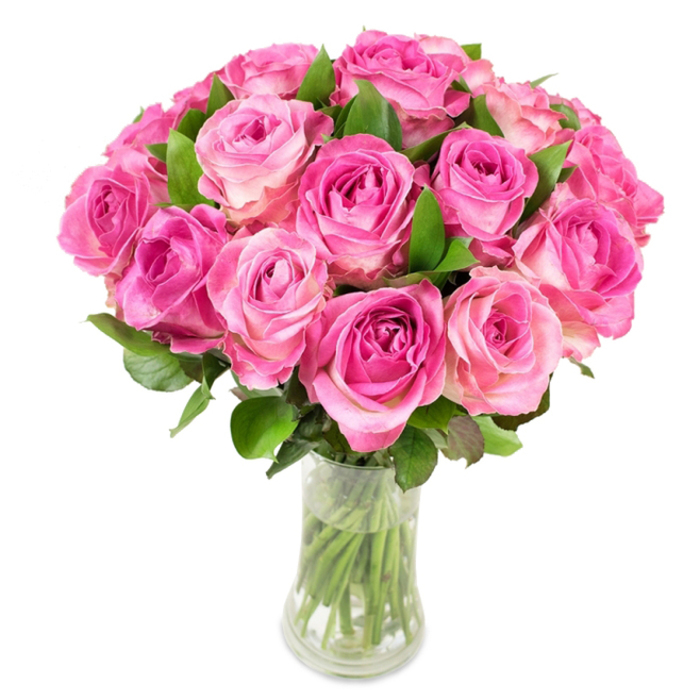 A meticulously arranged cluster of approximately two dozen pink roses fills a clear glass vase, photographed on a luminous white background that makes the tonal shifts in each bloom immediately visible. The floral anatomy is evident: centres of the roses hold deeper magenta and fuchsia shades that transition outward to softer blush pinks and hints of creamy white on the outermost petals, producing a gentle gradient that emphasises each rose's spiral form. The roses are densely positioned to create a domed, sculptural silhouette, while glossy, deep-green leaves emerge around the base and between blooms to provide contrast, framing and lifting the composition. The vase narrows slightly before flaring, its transparency revealing the straight, freshly cut stems submerged in clear water - a small but important sign of professional care and floral technique. Under even, studio-like lighting the petal edges pick up subtle highlights and shadows, which convey both the velvet smoothness and the layered complexity of the blossoms. Scent is implied: a soft, sweet rose perfume with a green, almost fruity edge that would evoke a stroll through Cranford Park at mid-morning. This bouquet reads as a considered gift for anniversaries, weddings, or Mother's Day, and it sits comfortably in contemporary interiors or sunlit windowsills along Bath Road or tucked into a Cranford home. The arrangement balances classic romance with the practical freshness expected from an experienced local florist.
