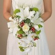 A radiant bride, standing amidst the greenery near Cranford Park, holds a voluminous cascading bouquet that feels both sophisticated and spirited. The bouquet's teardrop silhouette flows naturally from her hands, led by grand white lilies whose open, trumpet-shaped blooms convey airy elegance, each petal speckled with subtle rust hues for added interest. A creamy white rose nestled at the center adds a refined, romantic touch-the kind that evokes timeless bridal dreams. Threaded throughout are soft sprigs of white baby's breath, artfully placed to offer a gentle, billowing lightness. Clusters of lime-green cushion mums and plush filler blooms punctuate the design with vibrant colour, alluding to the lively gardens and green spaces so cherished in Cranford. The bouquet's cascading form is accentuated by strings of pure white Phalaenopsis orchids, their broad, graceful petals trailing downward in a shimmering flow. Pops of bright red hypericum berries, strategically dotted among the whites and greens, introduce a cheerful burst of colour, reminiscent of holly berries in winter. Slender, grass-like greenery and delicately veined leaves frame the bouquet, softening the edges with natural beauty. The bride's pale ivory dress, adorned with subtle lacework, offers a romantic backdrop-blurred just enough to draw all focus to the bouquet itself. This arrangement, blending classic floral elements with modern vibrancy, is a testament to local craftsmanship and would make an unforgettable statement at any Cranford wedding celebration.