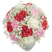 A harmonious triad of red, pink, and white carnations forms the lush heart of this bouquet, its rounded dome brimming with texture and colour. The carnations' plush, ruffled petals recall the gentle warmth of Cranford gardens in early summer, while subtle hints of pink soften the bold reds and provide a gentle transition into the pure whites. Throughout, a scattering of cloudlike Baby's Breath infuses the display with luminous, airy charm, framing the larger blooms and adding an irresistible lightness. The clear glass vase, modestly visible at the base, anchors the arrangement as though ready to adorn a windowsill overlooking Cranford's quiet greens. Against the white backdrop, every shade and nuance stands out, highlighting the local expertise that goes into each fresh bouquet delivered across Cranford. The ensemble's gentle perfume and tactile richness evoke feelings of delight and affection, making this a fitting choice for birthdays, anniversaries, or simple acts of kindness. Crafted with care by florists who know the community's spirit, this arrangement brings a touch of Cranford's signature tranquillity and warmth into any setting.